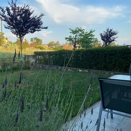 Aelia קסנדריה