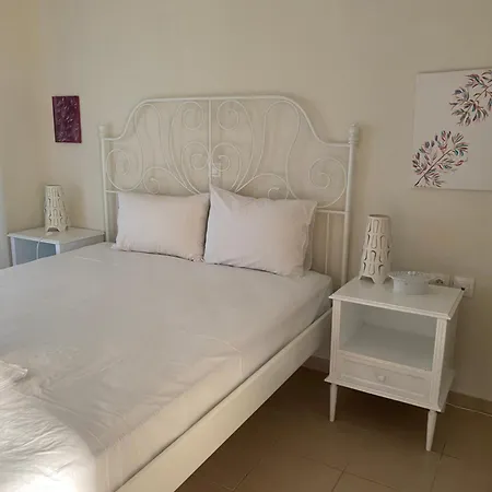 Aelia 卡桑德里亚